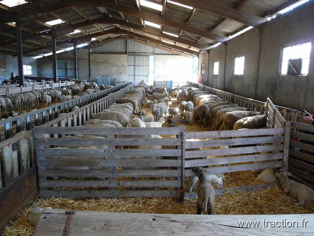 2016_Rodagef (3).JPG - 10/04/2016 - 68780 SENTHEIM - Visite de la ferme BISSLER